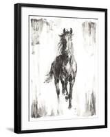 Rustic Black Stallion I-null-Framed Art Print