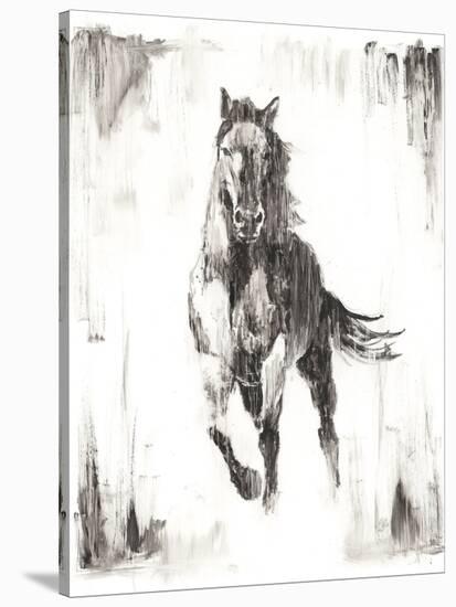 Rustic Black Stallion II-null-Stretched Canvas
