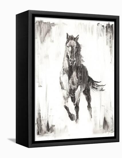 Rustic Black Stallion II-null-Framed Stretched Canvas