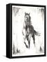 Rustic Black Stallion II-null-Framed Stretched Canvas