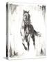 Rustic Black Stallion II-null-Stretched Canvas