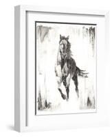 Rustic Black Stallion II-null-Framed Art Print