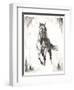Rustic Black Stallion II-null-Framed Art Print