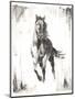 Rustic Black Stallion II-null-Mounted Art Print