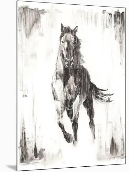 Rustic Black Stallion II-null-Mounted Art Print