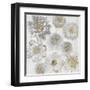 Rustic Blooms-Collezione Botanica-Framed Giclee Print