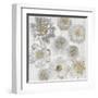 Rustic Blooms-Collezione Botanica-Framed Giclee Print