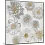 Rustic Blooms-Collezione Botanica-Mounted Giclee Print