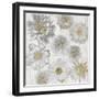 Rustic Blooms-Collezione Botanica-Framed Giclee Print
