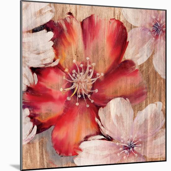 Rustic Blooms-Jurgen Gottschlag-Mounted Art Print