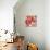 Rustic Blooms-Jurgen Gottschlag-Stretched Canvas displayed on a wall