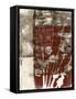 Rustic Blossoms I-Jennifer Goldberger-Framed Stretched Canvas