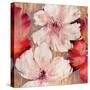 Rustic Blossoms-Jurgen Gottschlag-Stretched Canvas