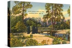 Rustic Bridge, Erie, Pennsylvania-null-Stretched Canvas