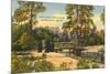 Rustic Bridge, Erie, Pennsylvania-null-Mounted Art Print