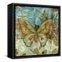 Rustic Butterfly I-Jennifer Goldberger-Framed Stretched Canvas