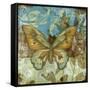 Rustic Butterfly I-Jennifer Goldberger-Framed Stretched Canvas