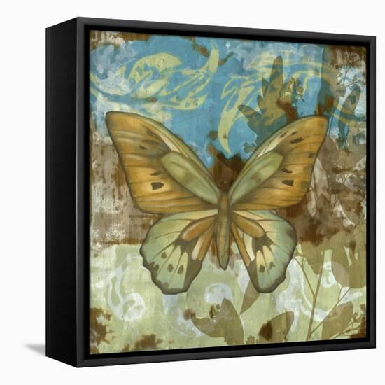 Rustic Butterfly I-Jennifer Goldberger-Framed Stretched Canvas