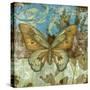 Rustic Butterfly I-Jennifer Goldberger-Stretched Canvas
