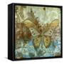 Rustic Butterfly II-Jennifer Goldberger-Framed Stretched Canvas