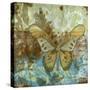 Rustic Butterfly II-Jennifer Goldberger-Stretched Canvas