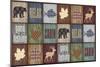 Rustic Cabin Quilt-Jean Plout-Mounted Giclee Print