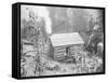 Rustic Cabin-null-Framed Stretched Canvas