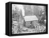 Rustic Cabin-null-Framed Stretched Canvas