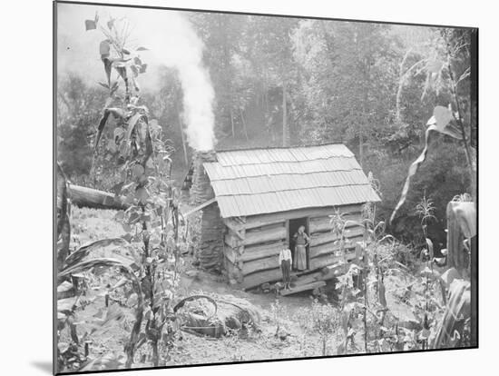 Rustic Cabin-null-Mounted Photographic Print