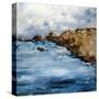 Rustic Coast-Sydney Edmunds-Stretched Canvas