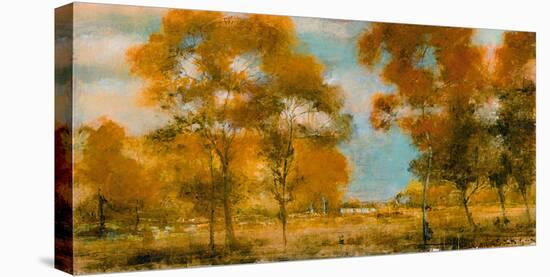 Rustic Countryside-Stiles-Stretched Canvas