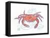 Rustic Crab-Sudi Mccollum-Framed Stretched Canvas