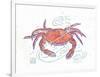 Rustic Crab-Sudi Mccollum-Framed Art Print