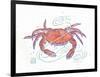 Rustic Crab-Sudi Mccollum-Framed Art Print