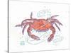 Rustic Crab-Sudi Mccollum-Stretched Canvas