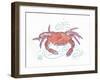 Rustic Crab-Sudi Mccollum-Framed Art Print