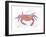 Rustic Crab-Sudi Mccollum-Framed Art Print