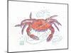 Rustic Crab-Sudi Mccollum-Mounted Art Print