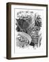 Rustic Display Of Tomatoes For Sale Black And White-Dorothy Berry-Lound-Framed Giclee Print