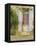 Rustic Door and Bread, Aquitaine, France, Europe-John Miller-Framed Stretched Canvas