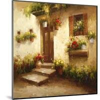 Rustic Doorway II-David Lakewood-Mounted Art Print