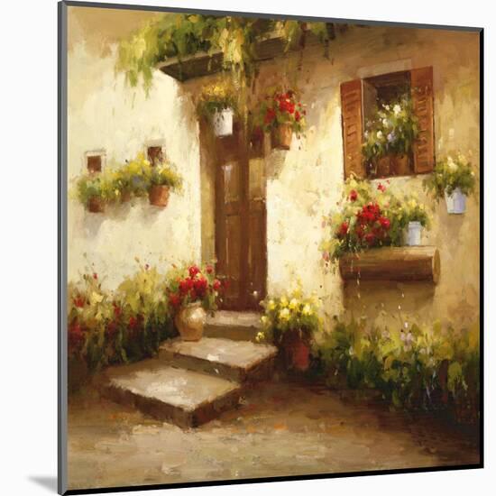 Rustic Doorway II-David Lakewood-Mounted Art Print