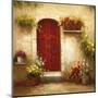 Rustic Doorway III-David Lakewood-Mounted Art Print