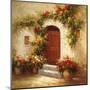 Rustic Doorway IV-David Lakewood-Mounted Art Print