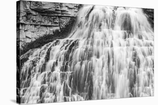Rustic Falls, Yellowstone National Park.-WILLIAM-Stretched Canvas