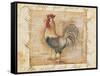 Rustic Farmhouse Rooster II-Kimberly Poloson-Framed Stretched Canvas
