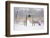 Rustic fence and arbor with holiday wreath and purple wheelbarrow near prairie in winter, Illinois-Richard & Susan Day-Framed Photographic Print