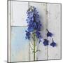 Rustic Floral-Camille Soulayrol-Mounted Giclee Print