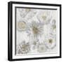 Rustic Florals-Collezione Botanica-Framed Giclee Print