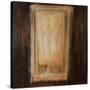 Rustic Flower I-Joshua Schicker-Stretched Canvas